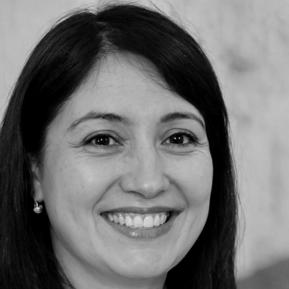 Profesional en finanzas colaborando en sesión de grupo de estudio